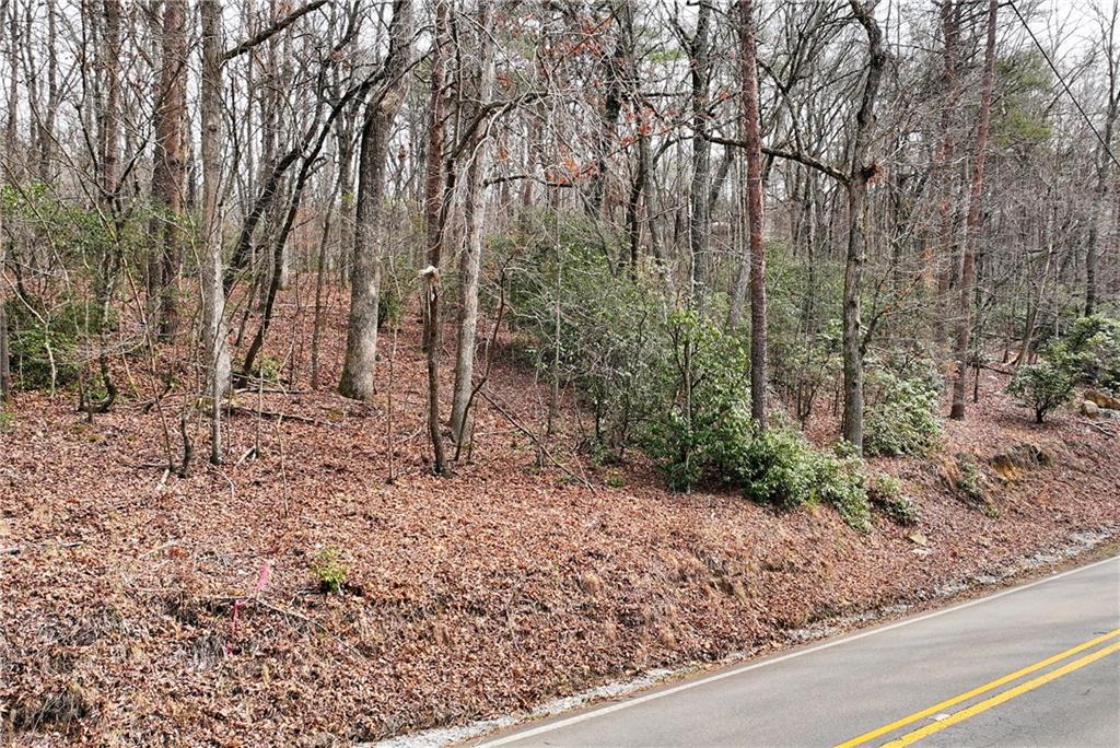 Henderson Mountain Road, Jasper, Georgia image 4