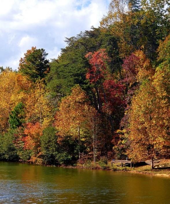 Henderson Mountain Road, Jasper, Georgia image 8