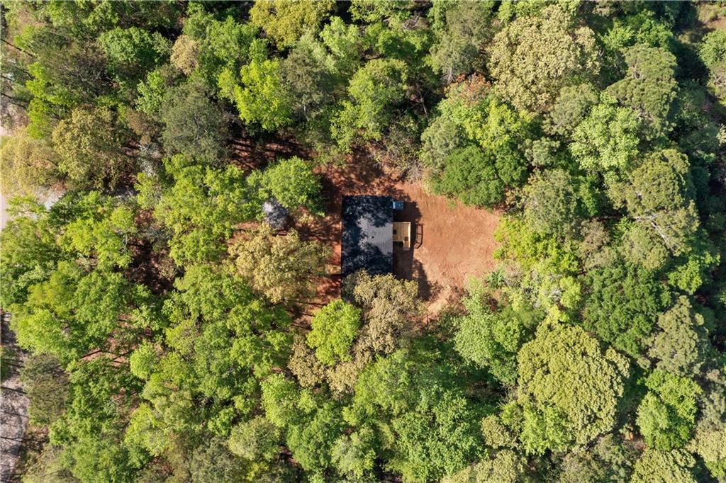 249 Woodpecker Lane, Nicholson, Georgia image 39