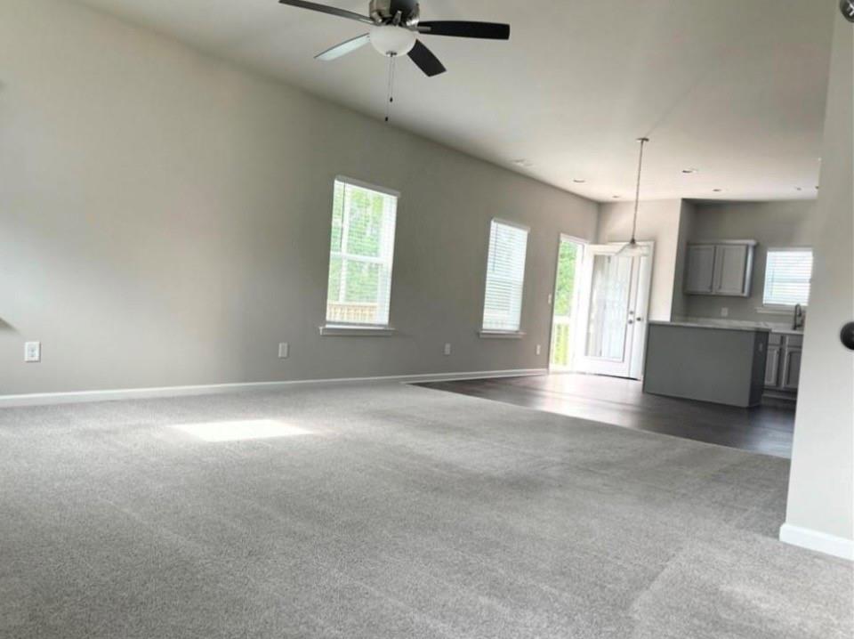 210 finley Drive