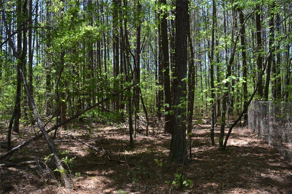 Mars Hill Road, Acworth, Georgia image 3