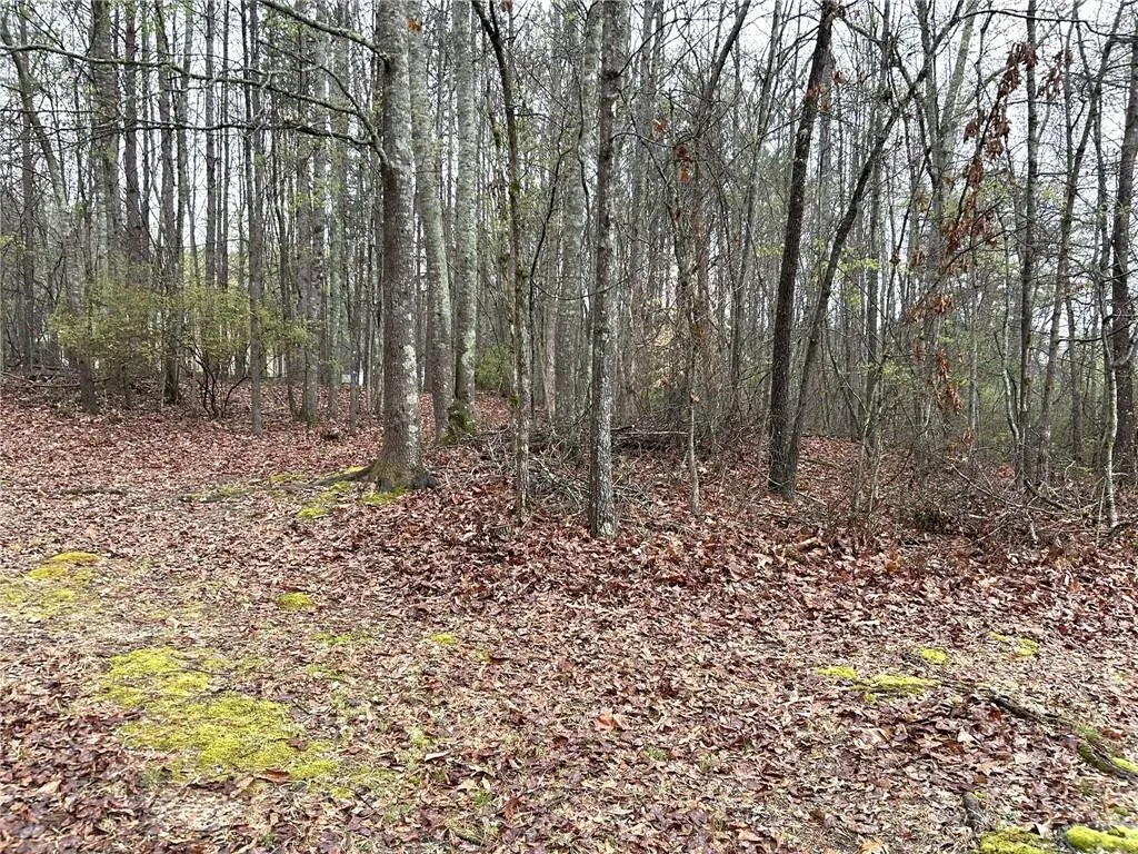 Carrollton, Georgia 30116, United States, ,Land,Active,97691