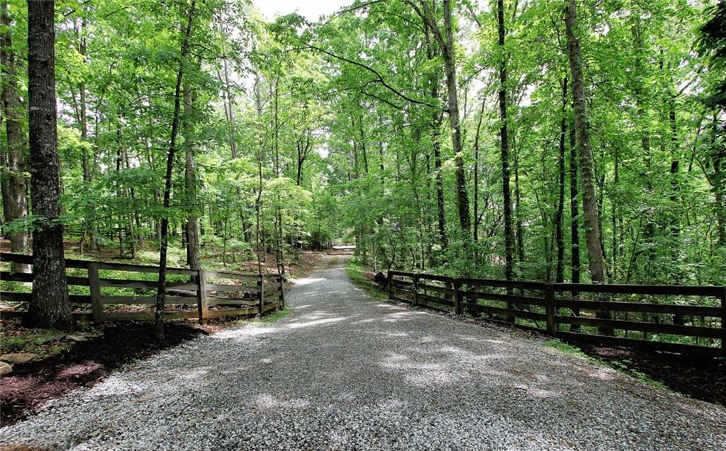 445 Lula Payne Trail