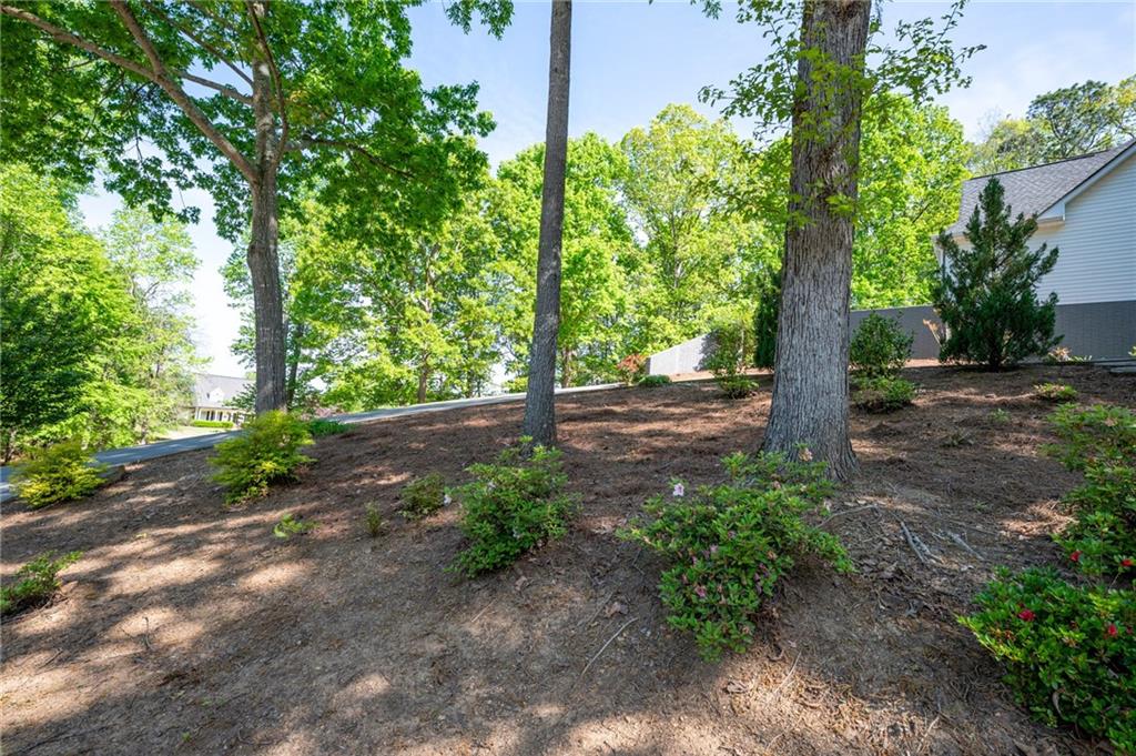 410 Ridgewood Drive, Calhoun, Georgia image 45