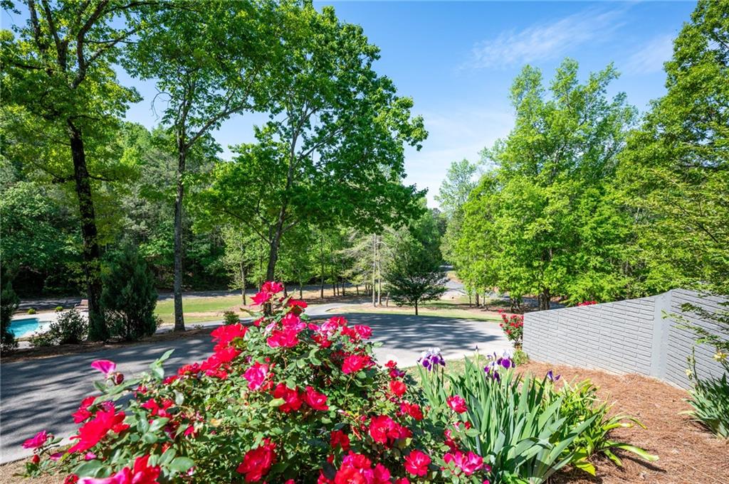 410 Ridgewood Drive, Calhoun, Georgia image 11