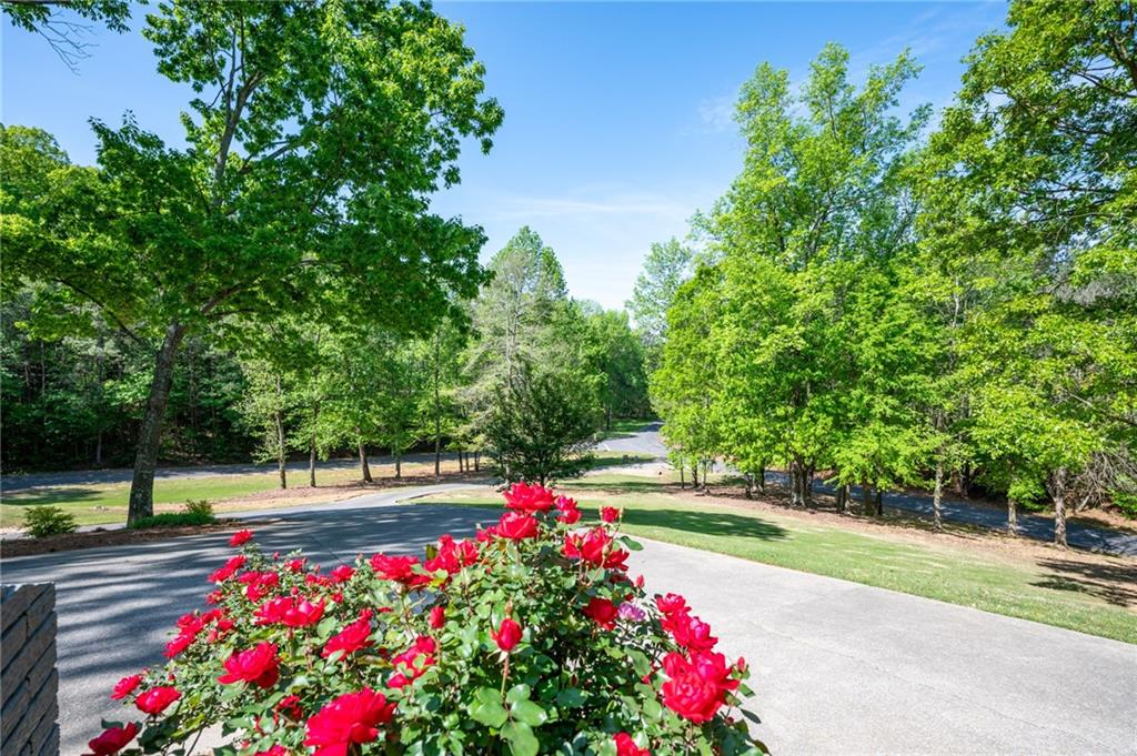 410 Ridgewood Drive, Calhoun, Georgia image 46