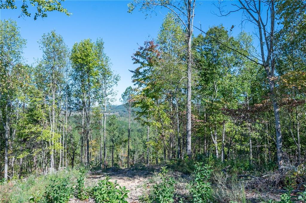 3879 HWY 140 NE