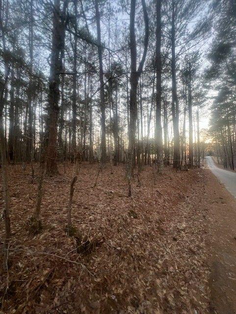 0 Pine Tree Drive