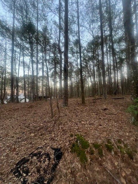 Pine Tree Drive, Fayetteville, Georgia image 8