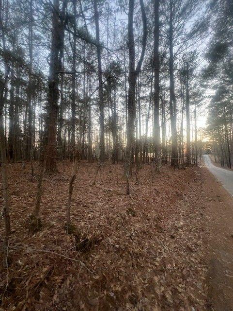 Pine Tree Drive, Fayetteville, Georgia image 2