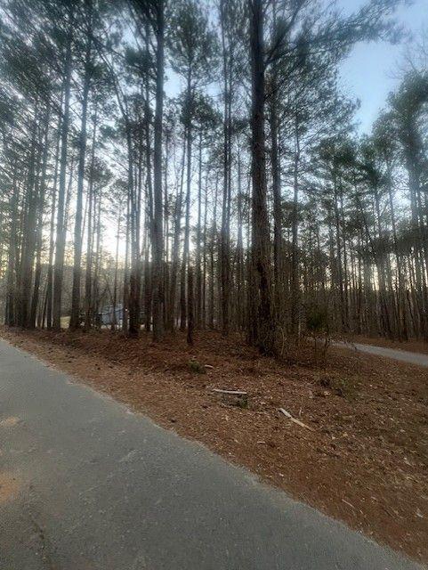 Pine Tree Drive, Fayetteville, Georgia image 10