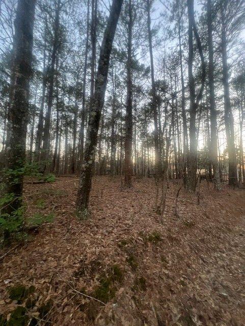 Pine Tree Drive, Fayetteville, Georgia image 5