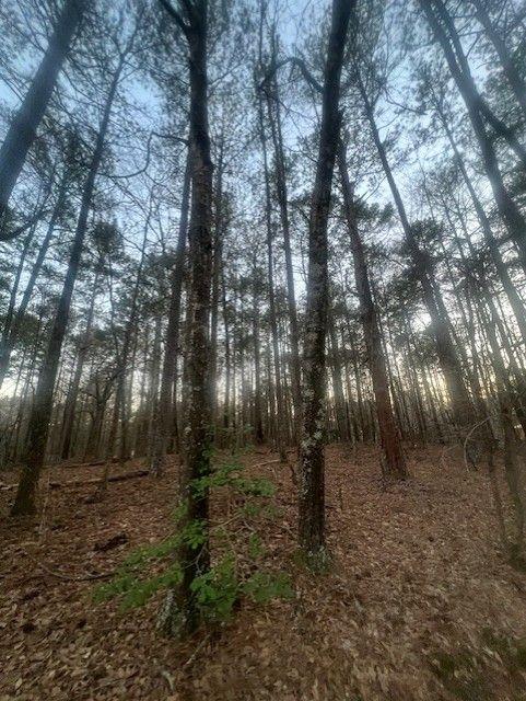 Pine Tree Drive, Fayetteville, Georgia image 4