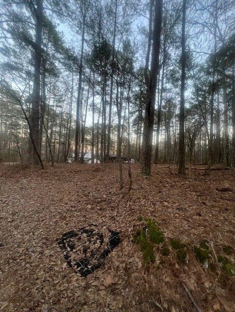 Pine Tree Drive, Fayetteville, Georgia image 3