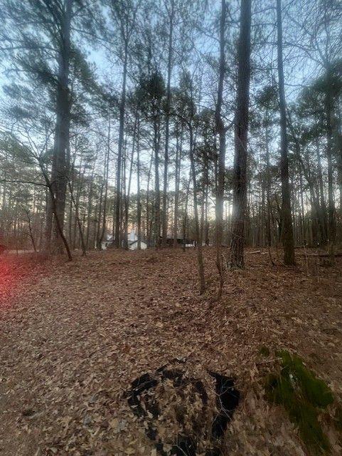 Pine Tree Drive, Fayetteville, Georgia image 7