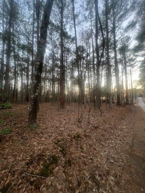 Pine Tree Drive, Fayetteville, Georgia image 6