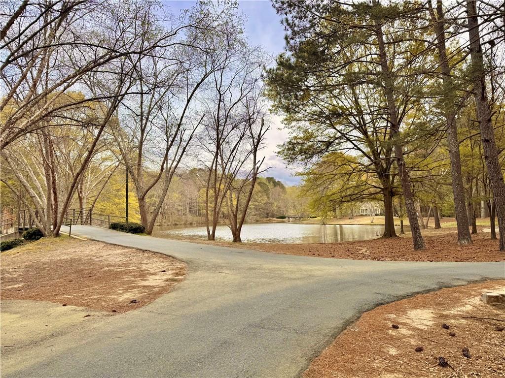 813 Ridgefield Drive, Peachtree City, Georgia image 19