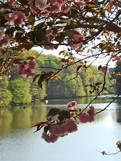 2382 Merrymount Drive Suwanee GA 30024