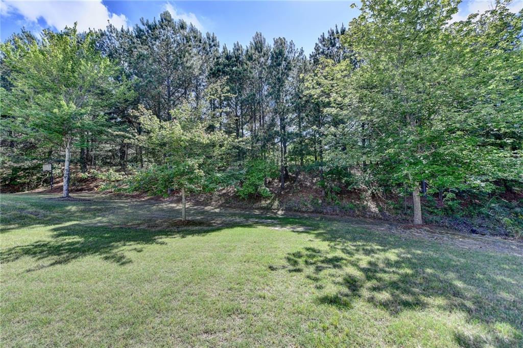 645 Earlham Drive, Suwanee, Georgia image 47
