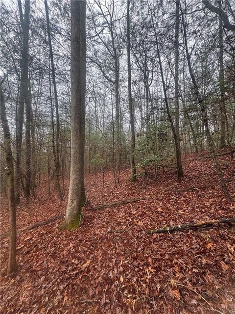 Vacant Land For Sale - W Mountaintown Trail<br/> Ellijay, GA 30540
