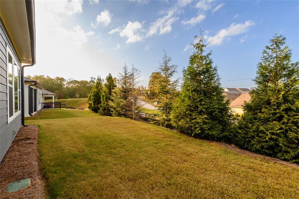 6821 Bungalow Road, Flowery Branch, Georgia image 38