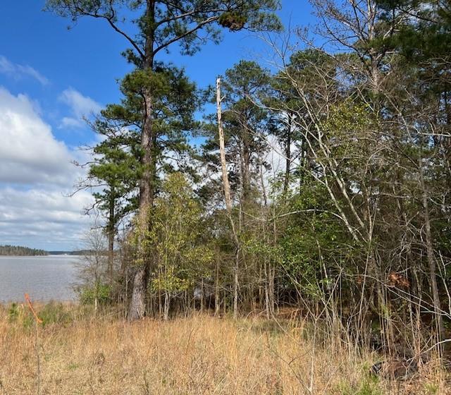 One of the best lots on Lake Sinclair! Northside located + big open water. Brand new Marina going in just down the road. There is just enough slope for a gorgeous view when you build your dream home + sit on the lakeside deck. With over 120+ water frontage, you will be able to have a double boathouse. There is over 1 acre + deep water. New survey + soil test on file. A recent appraisal has been done!
