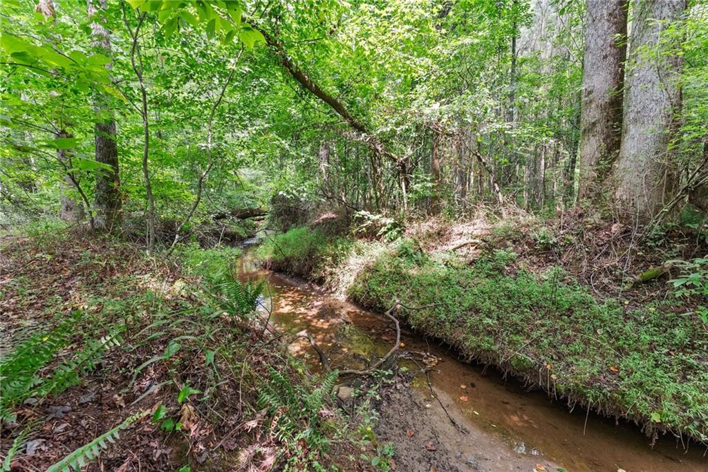8817 Shallow Creek Trail
