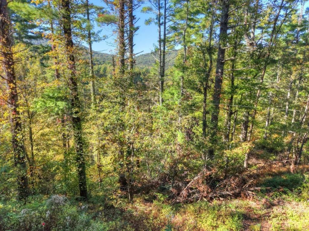 LT 123 Bell Camp Ridge Road