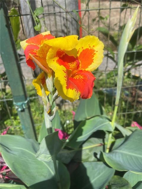 1679 Eastside Parc Street Atlanta GA 30316