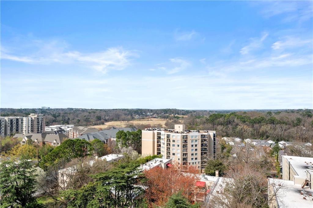 2233 Peachtree Road #1202, Atlanta, Georgia image 27