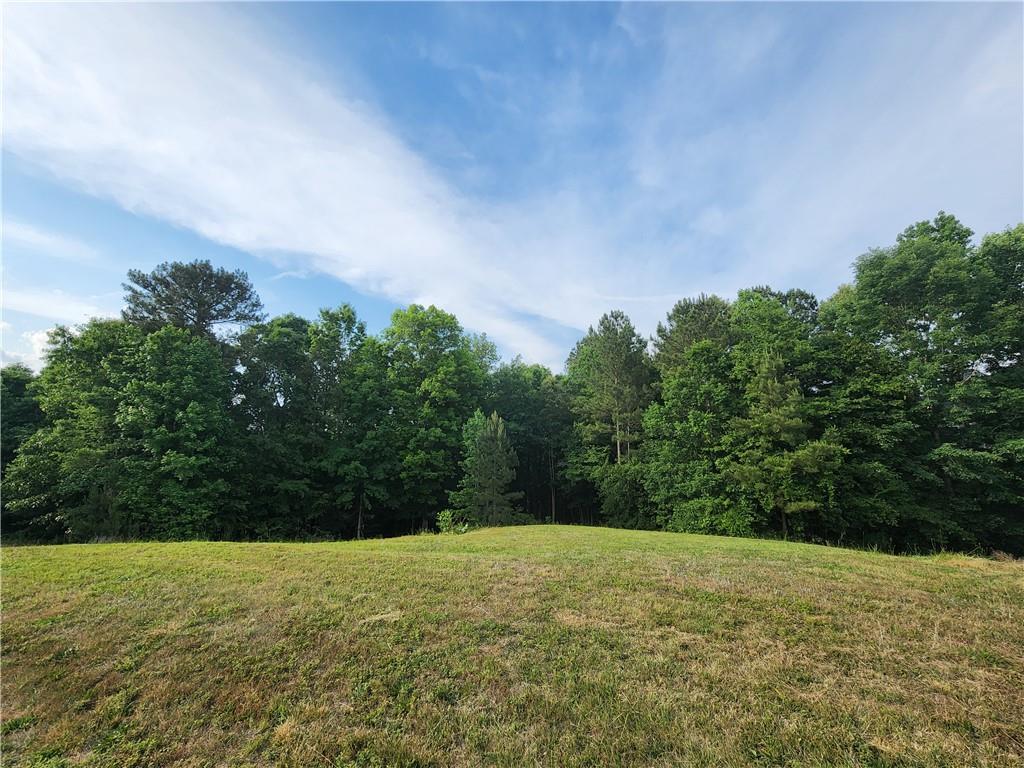 56 Creekside Point, Hiram, Georgia image 4