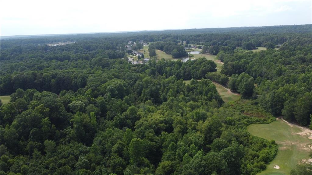56 Creekside Point, Hiram, Georgia image 9