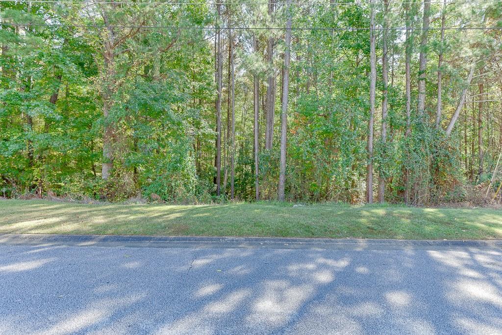 3032 Mink Way, Snellville, Georgia image 6