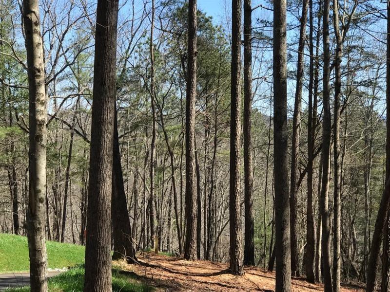 Carters View, Ellijay, Georgia image 1