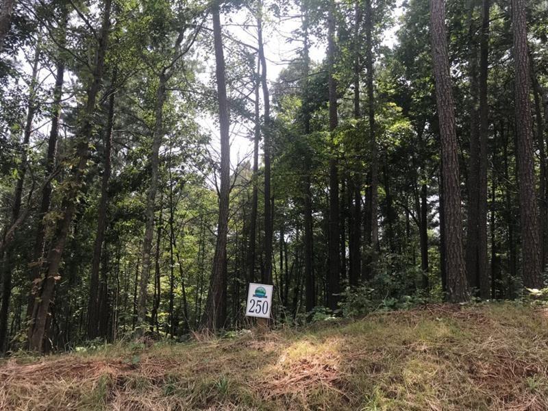 Carters View, Ellijay, Georgia image 3