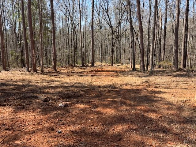 502 Camp Lake Road, Monroe, Georgia image 3
