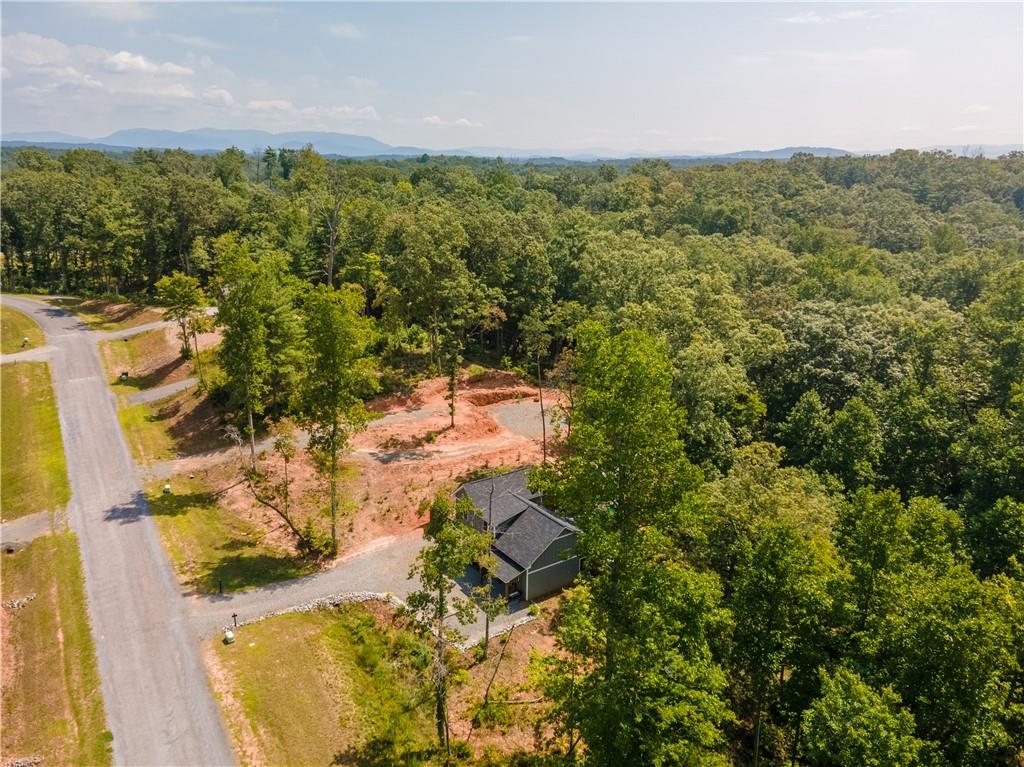 123 Lake Top Lane, Ellijay, Georgia image 49