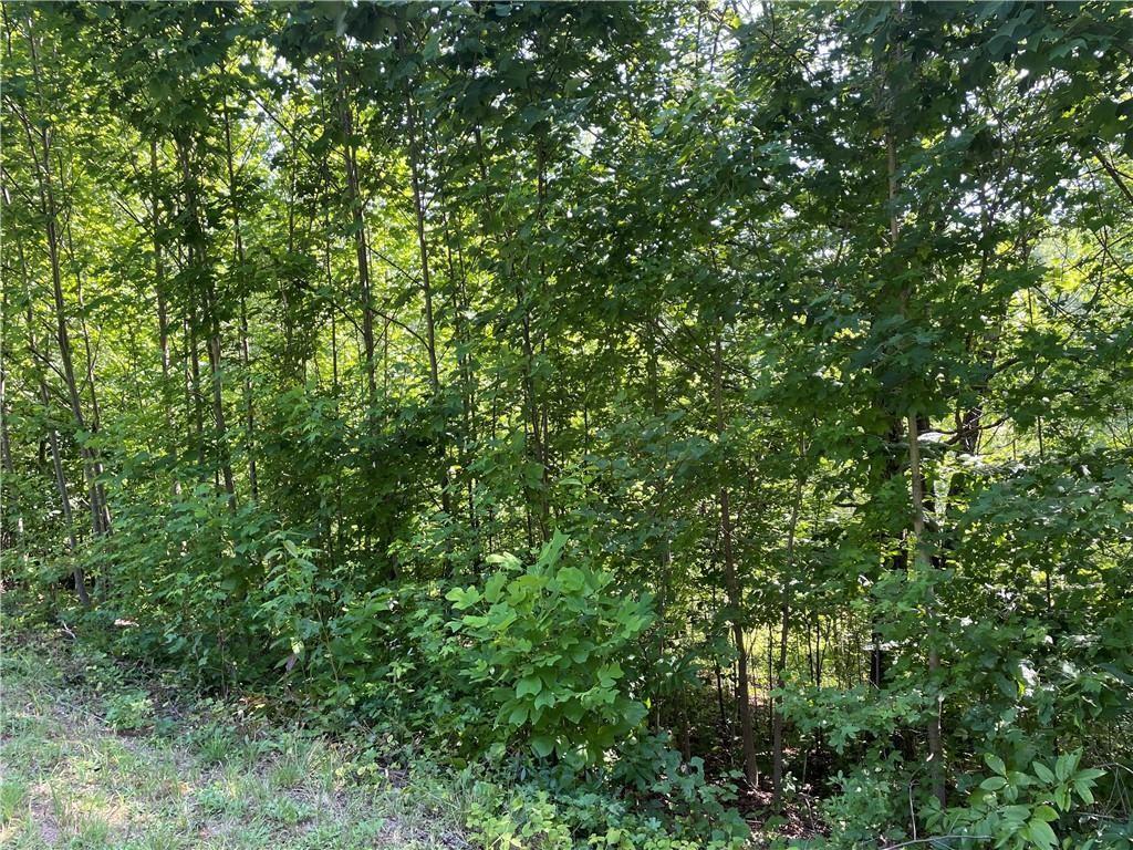 3 Long Mountain Trail, Cleveland, Georgia image 12