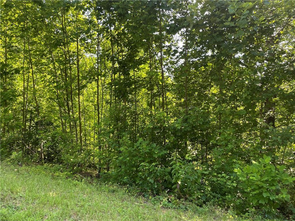 3 Long Mountain Trail, Cleveland, Georgia image 13