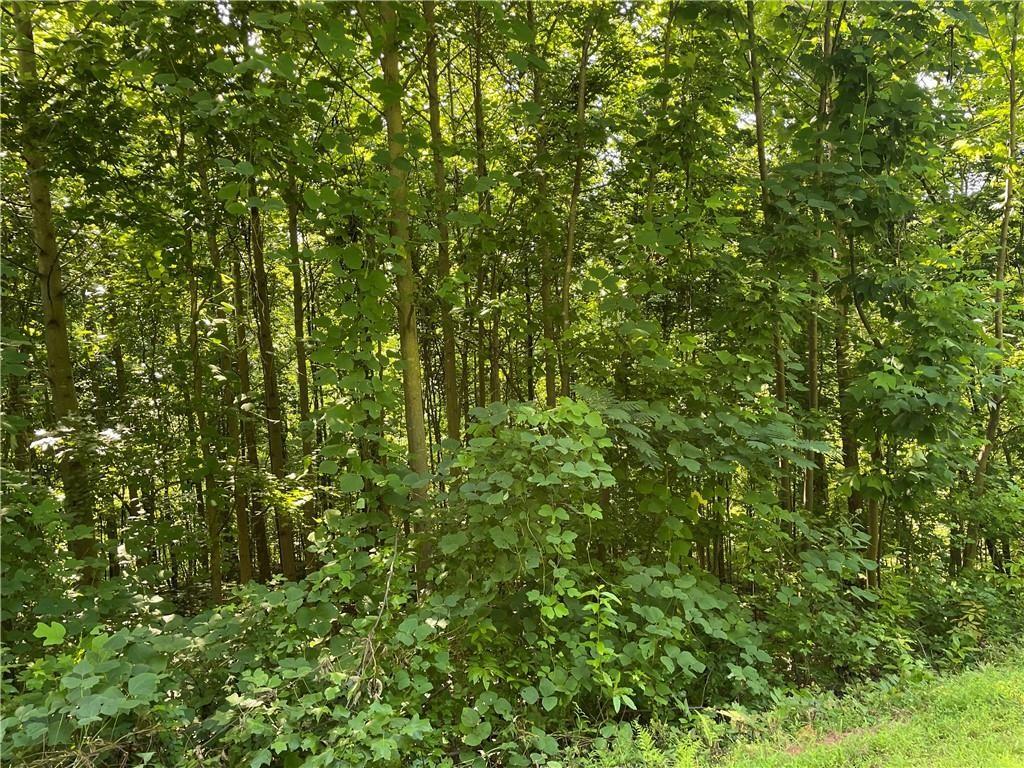 3 Long Mountain Trail, Cleveland, Georgia image 11