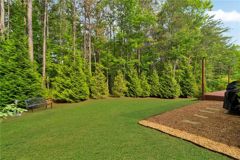 219 Woods Circle, Ball Ground, Georgia image 23