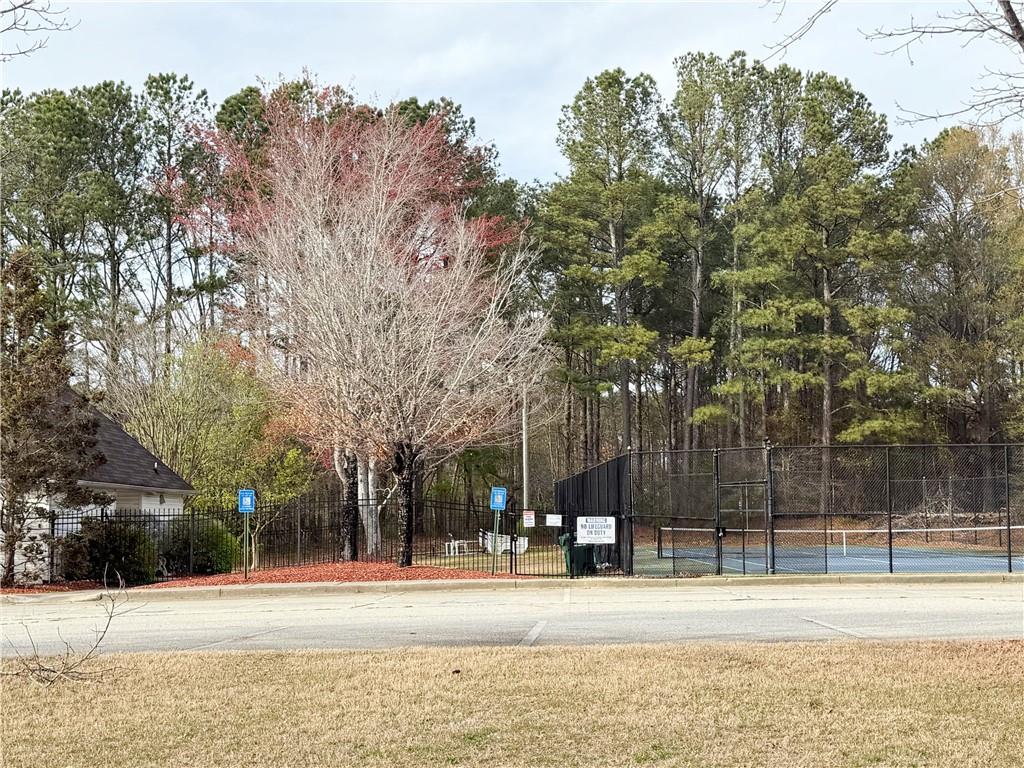 4410 Millenium View Court, Snellville, Georgia image 28