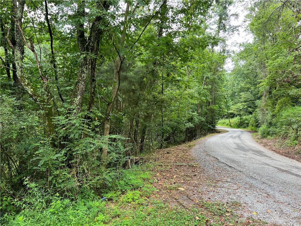 Pinyan Road, Ranger, Georgia image 33