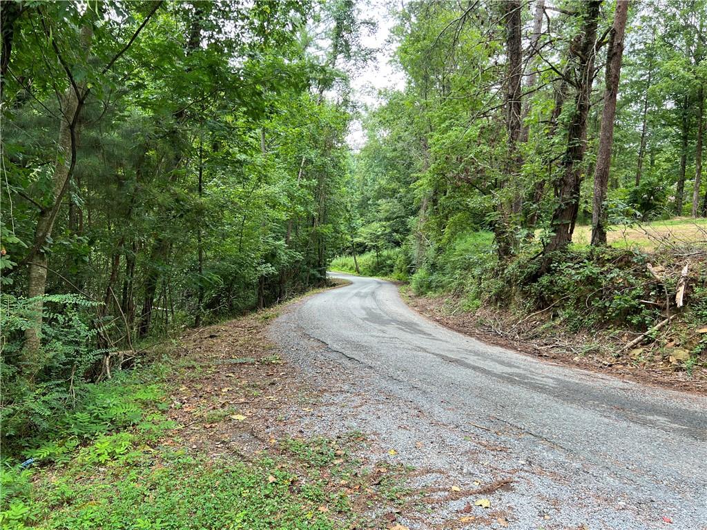 Pinyan Road, Ranger, Georgia image 32