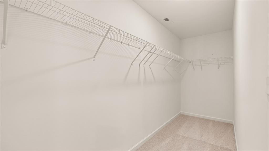 310 Silver Moon Drive Dr #111, Loganville, Georgia image 33