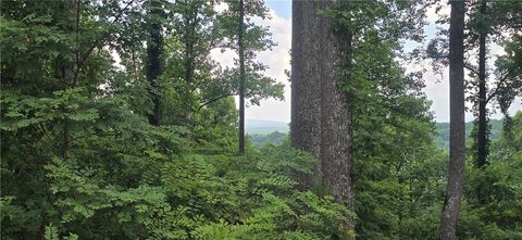 Vacant Land For Sale - 001 Windning Ridge<br/> Blairsville, GA 30512