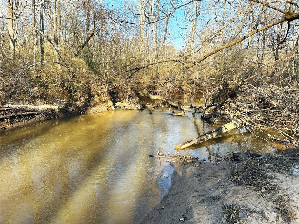 Mud Green Road, Temple, Georgia image 5