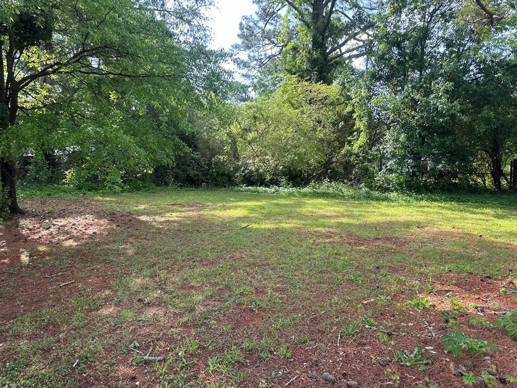 1685 Pheasant Drive, Jonesboro, Georgia image 15