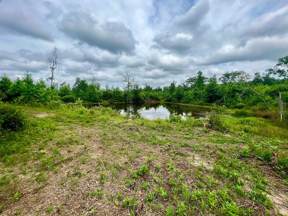 000 Folds (Tract D - 22.67 Acres) Road