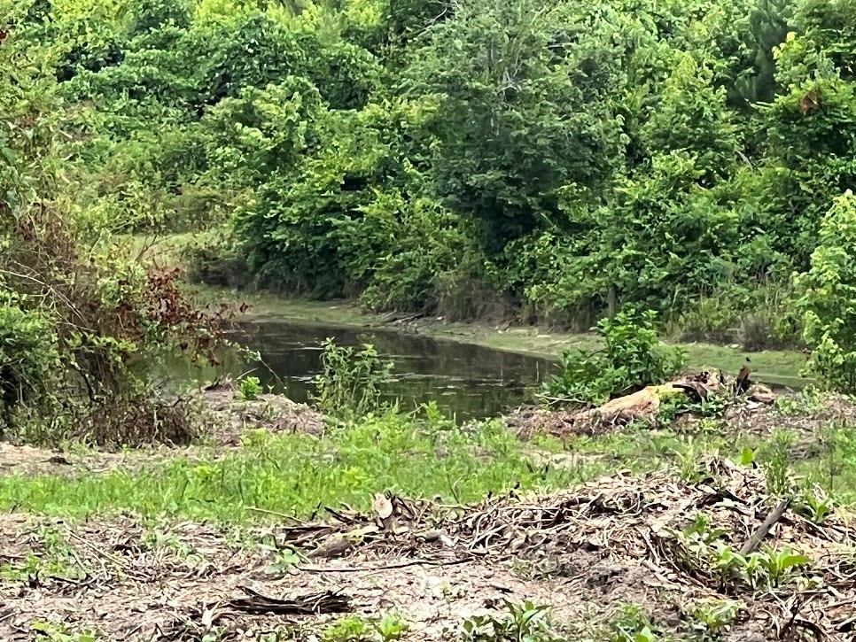 000 Folds (Tract D - 22.67 Acres) Road